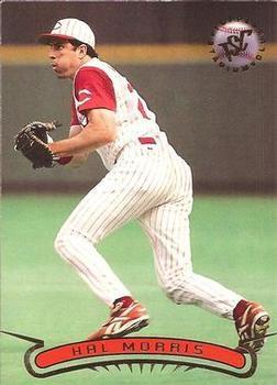 #97 Hal Morris - Cincinnati Reds - 1996 Stadium Club Baseball