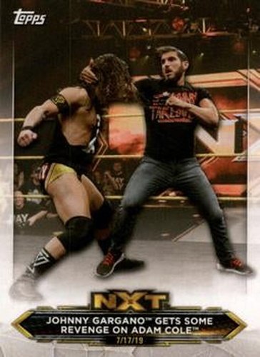 #9 Johnny Gargano / Adam Cole - 2020 Topps WWE NXT Wrestling