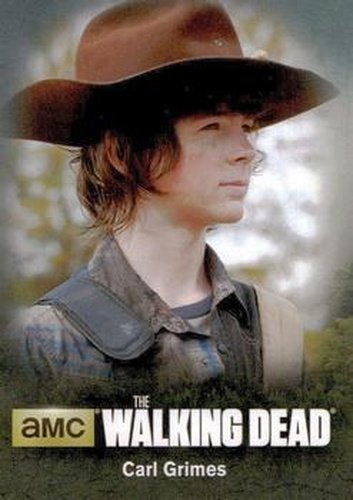 #C03 Carl Grimes - 2016 Cryptozoic The Walking Dead Season 4: Part 1 - Character Bios