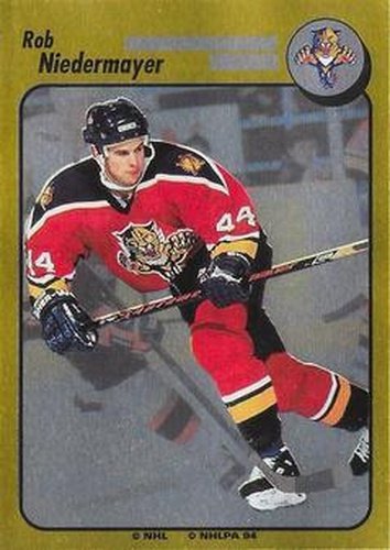 #247 Rob Niedermayer - Florida Panthers - 1994-95 Panini Hockey Stickers